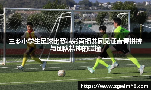 bsports必一运动