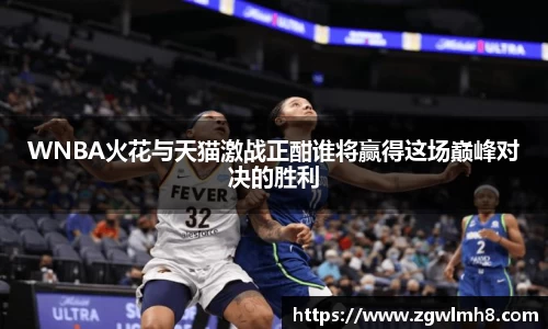 WNBA火花与天猫激战正酣谁将赢得这场巅峰对决的胜利